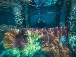 snorkeling on Togean Island Retreat
