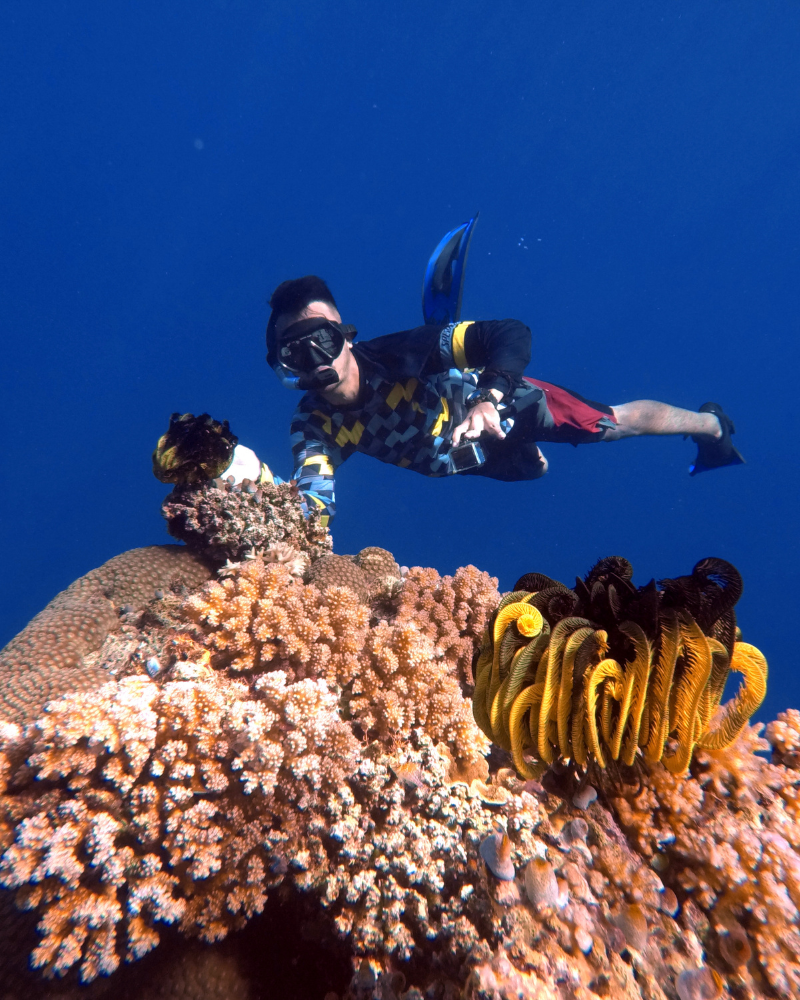 togean-islands-tours