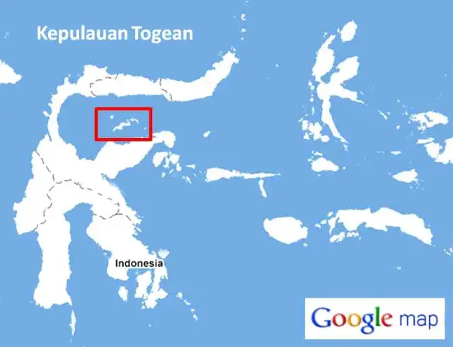 peta togean
