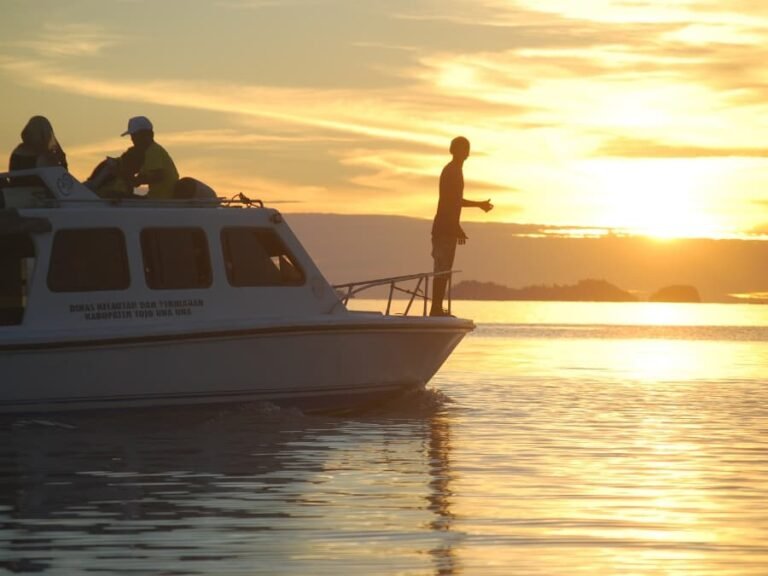 boat in sunset