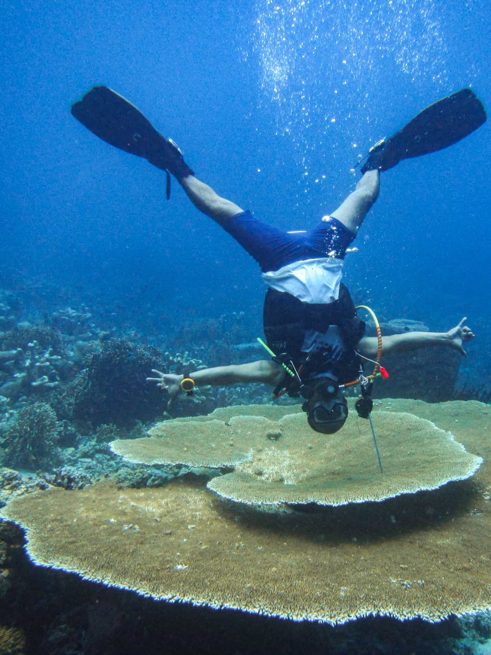 bpmber b24 wreck point best places to diving in the Togean Islands