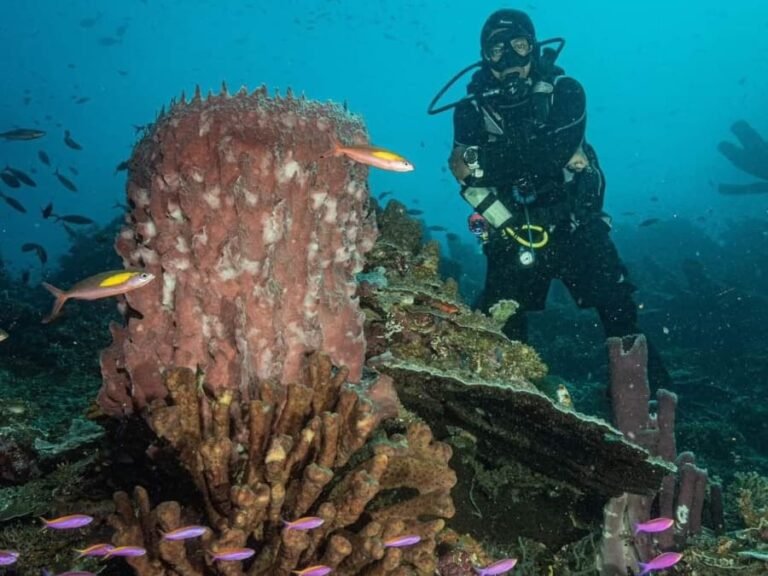 diving