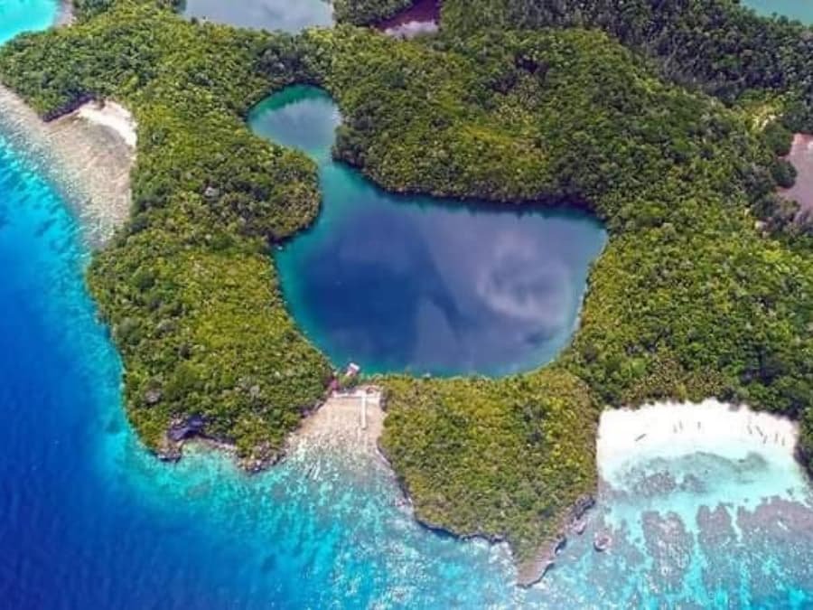 jellyfish lake