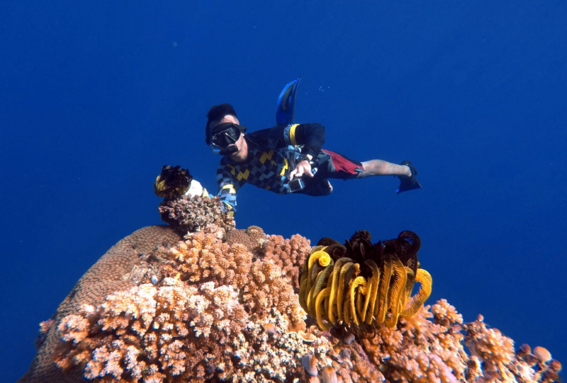 snorkeling while in the togean island retreat trip